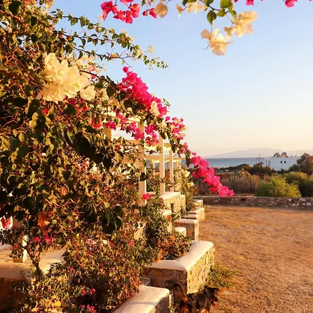 Apartamento Sunny Naxos Aliko Beach