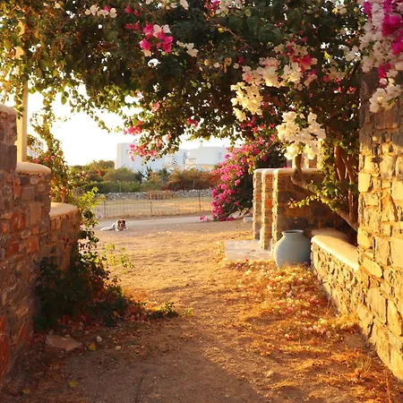 Sunny Naxos *