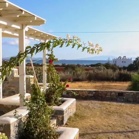Sunny Naxos