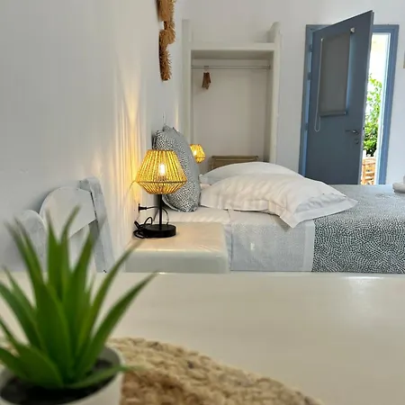 アパート Sunny Naxos Aliko Beach