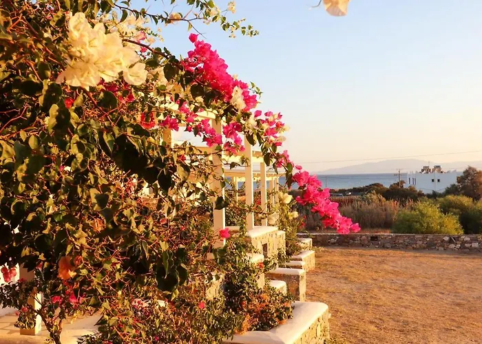 アパート Sunny Naxos Aliko Beach